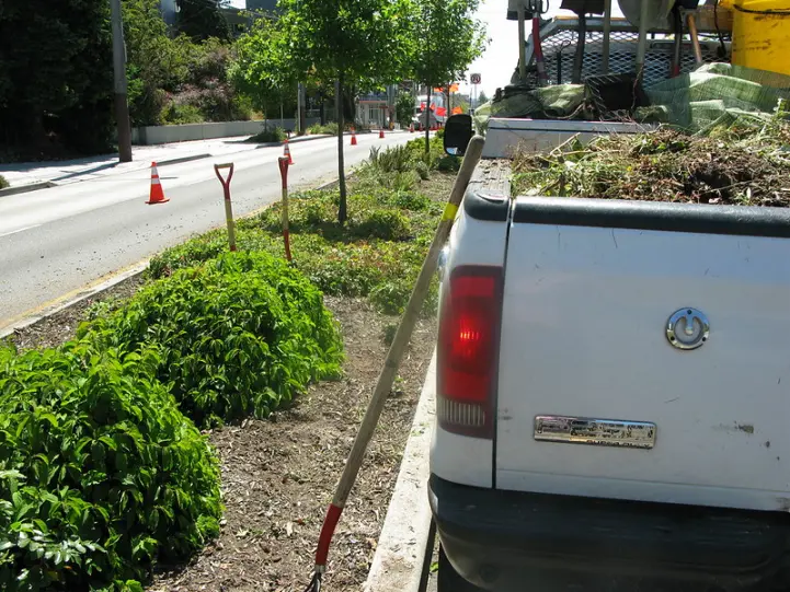 Garden Maintenance